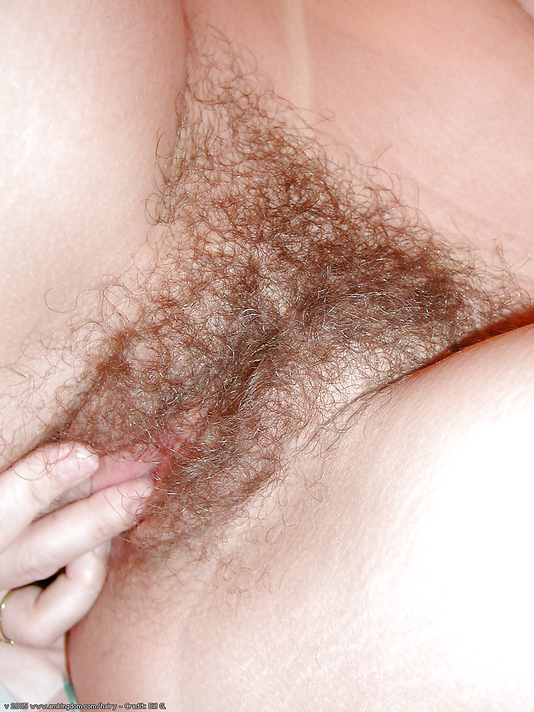 Hairy Bush close ups #31282128