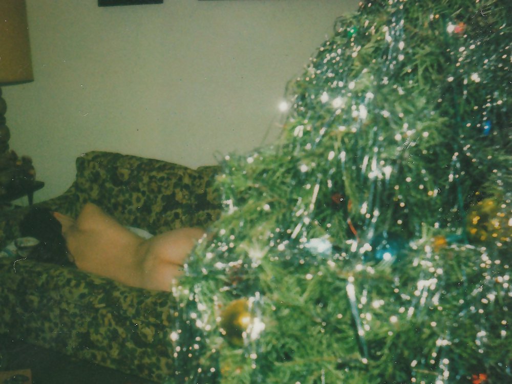 Cuties de Navidad
 #25368513