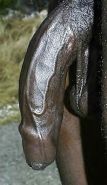 Big Black Cocks
