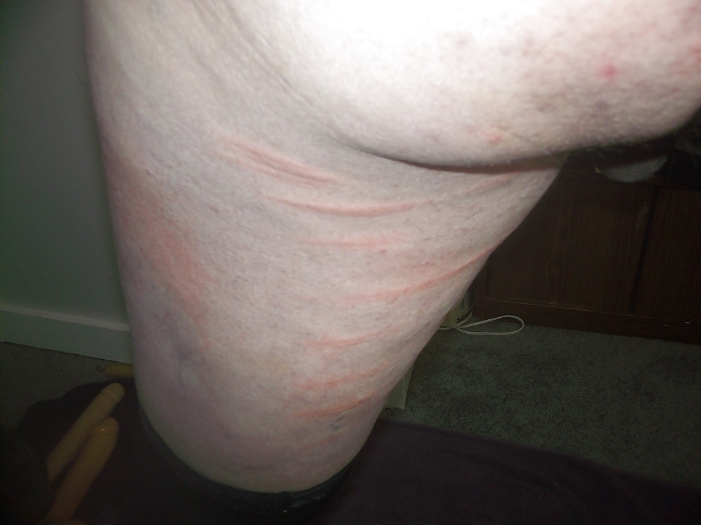 Servir al maestro tonto
 #38731989