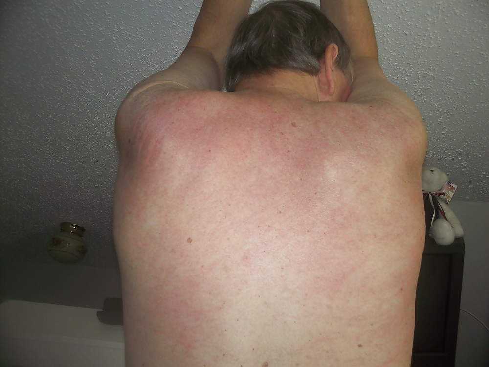 Servir al maestro tonto
 #38731998