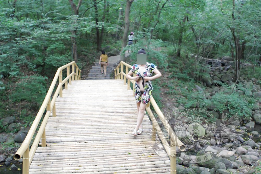 Chinese public part 4 #38528301