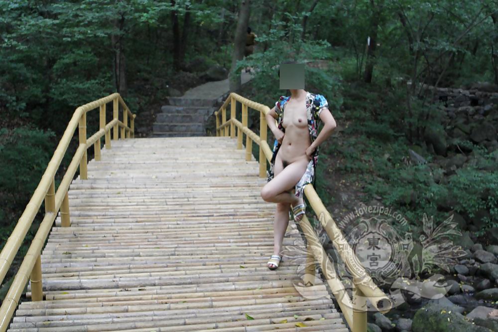 Chinese public part 4 #38528354