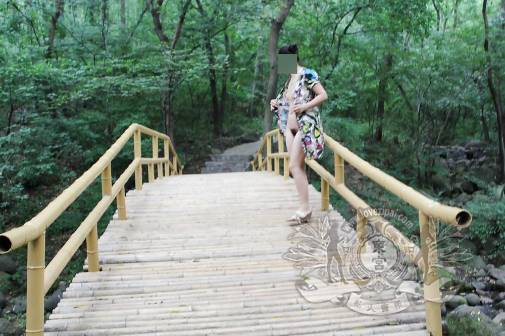 Chinese public part 4 #38528462