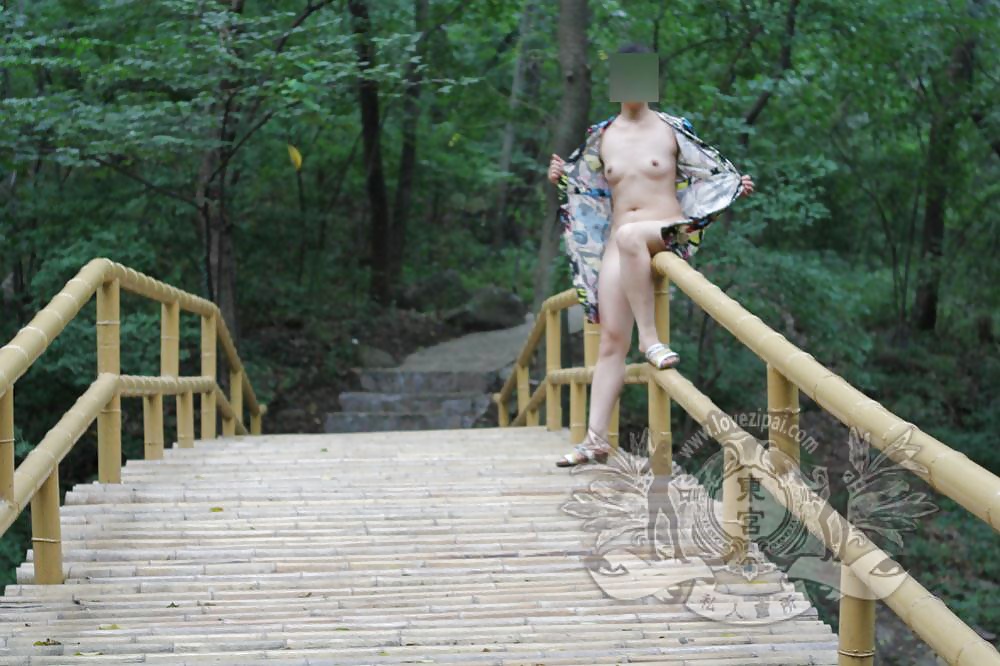 Chinese public part 4 #38528468