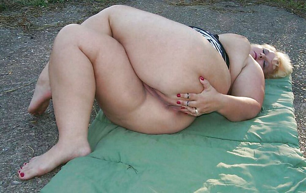 Asses Of All Shape N Sizes #24924516
