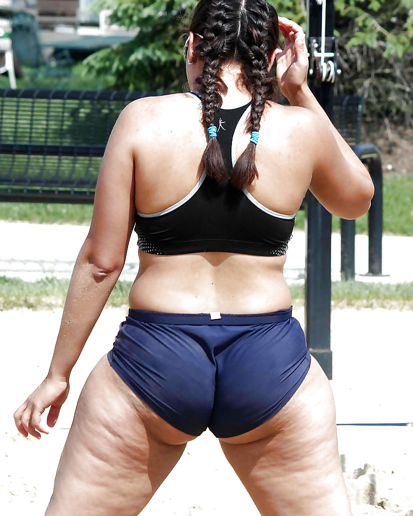Asses Of All Shape N Sizes #24924587