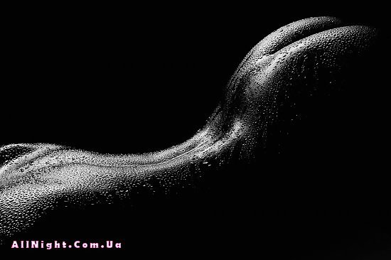 Foto en blanco y negro
 #37608170