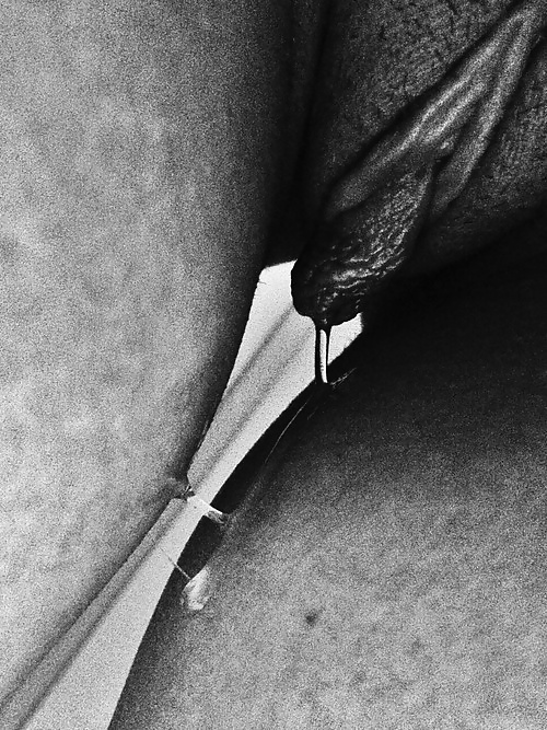 Random Pics I 5 Gefällt #35292297