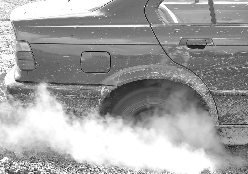 Meine Kollegin Silvi #28129271