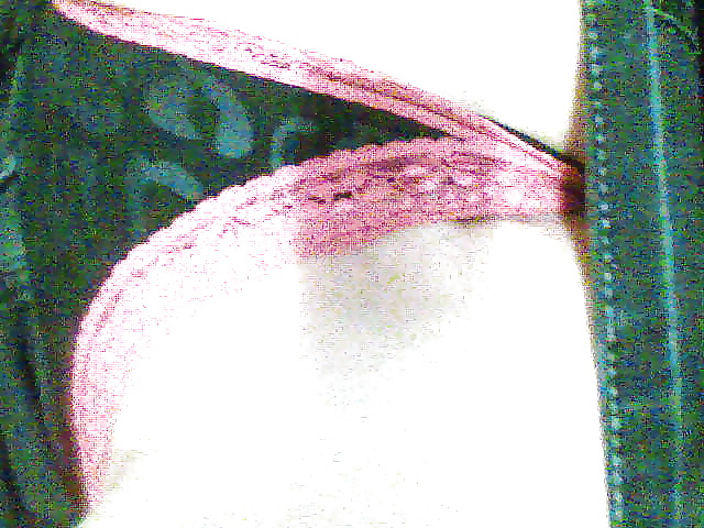 Mis fotos
 #29273675