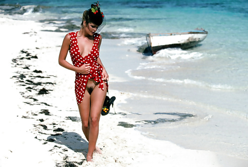 Spiaggia senza fondo e peloso
 #26634532