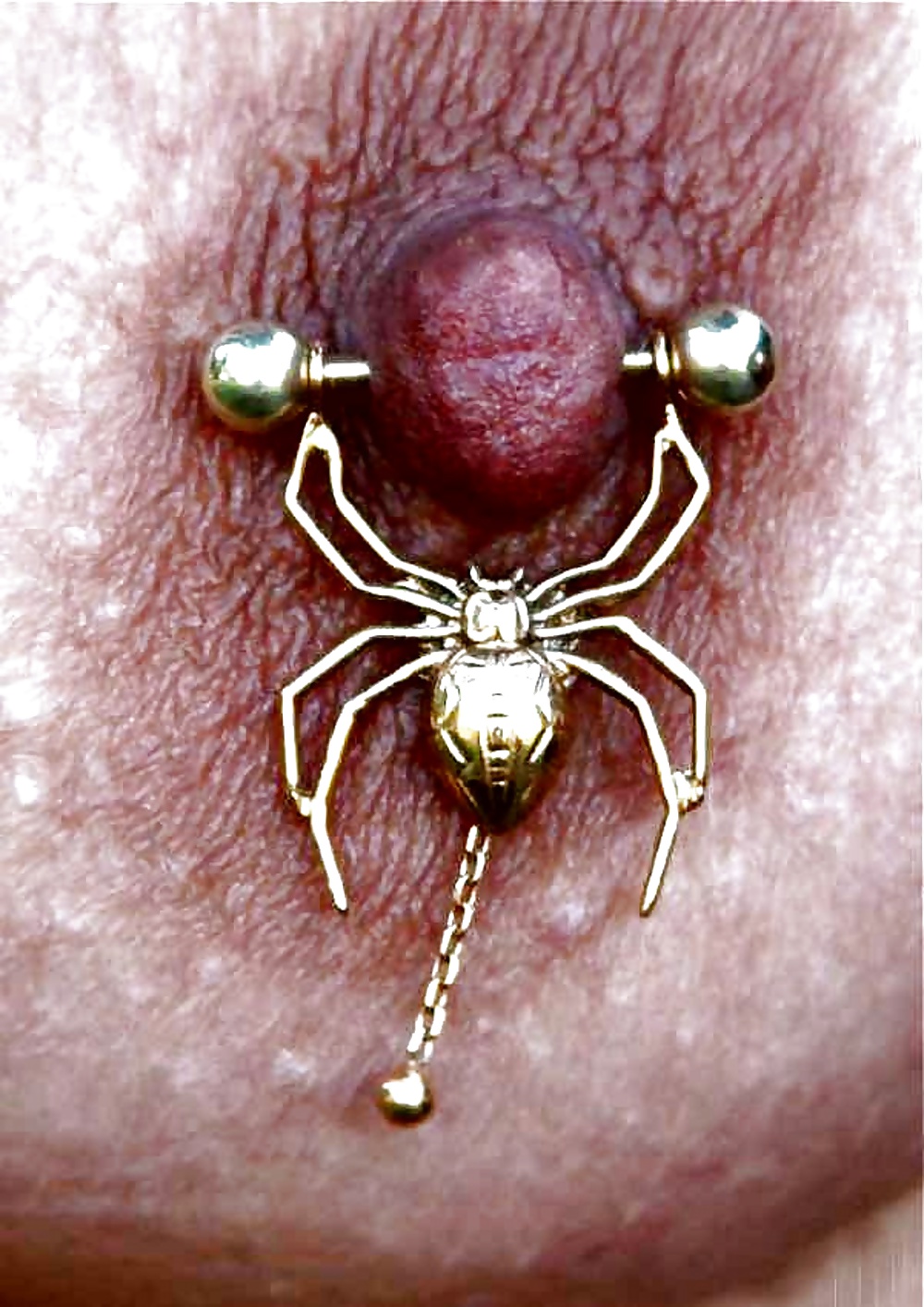 Tutte le sexy piercing capezzoli e fighe
 #26629870