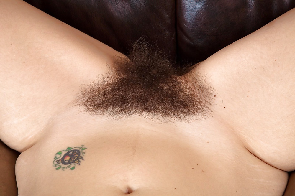 Cuties peludos 134
 #31152624