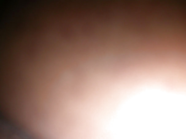 アズラ・シェイク
 #28422292