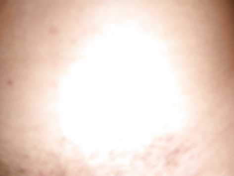 アズラ・シェイク
 #28423274