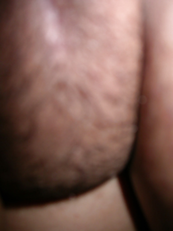 アズラ・シェイク
 #28423367