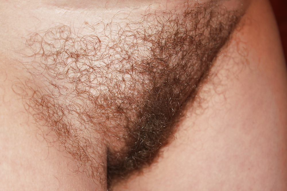 Wife hairy pussy #24409750
