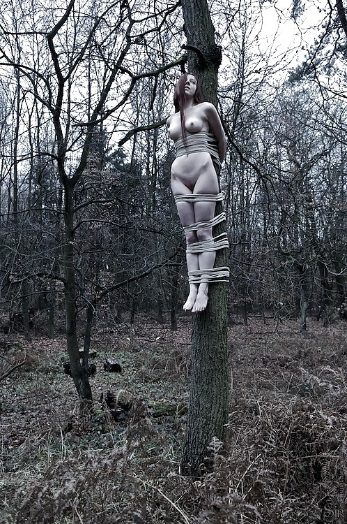 黒と白の944!
 #36914005