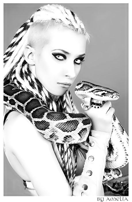 Las serpientes aman...
 #34004492