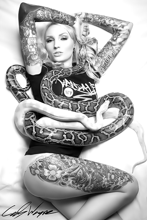 Las serpientes aman...
 #34004495