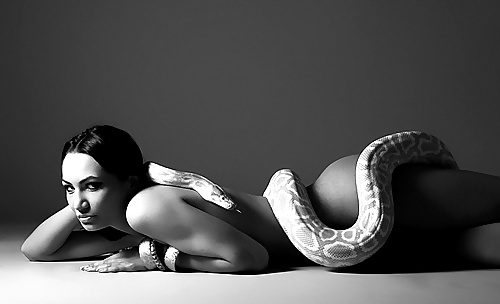 Las serpientes aman...
 #34004505