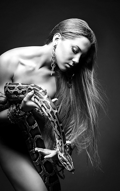 Las serpientes aman...
 #34004509