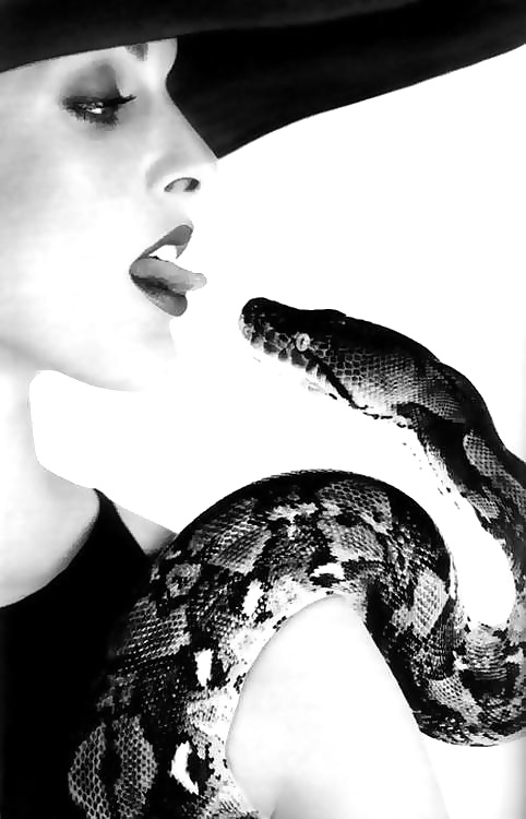 Las serpientes aman...
 #34004513