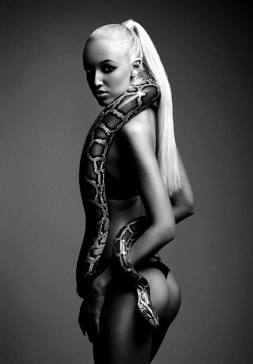 Las serpientes aman...
 #34004535