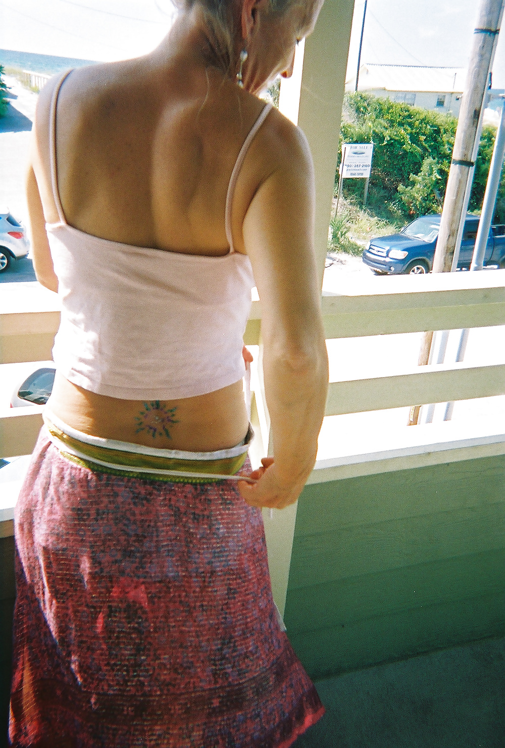 Zorra linda 
 #26128040