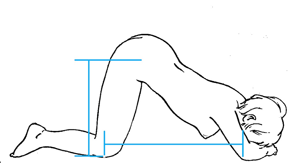 Measurement forms #35955673