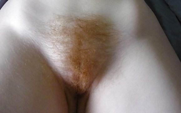 From the Moshe Files: Offering The Red Carpet Treatment #26134581