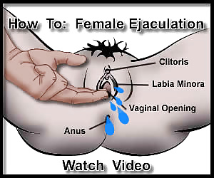 Diversión
 #27133221