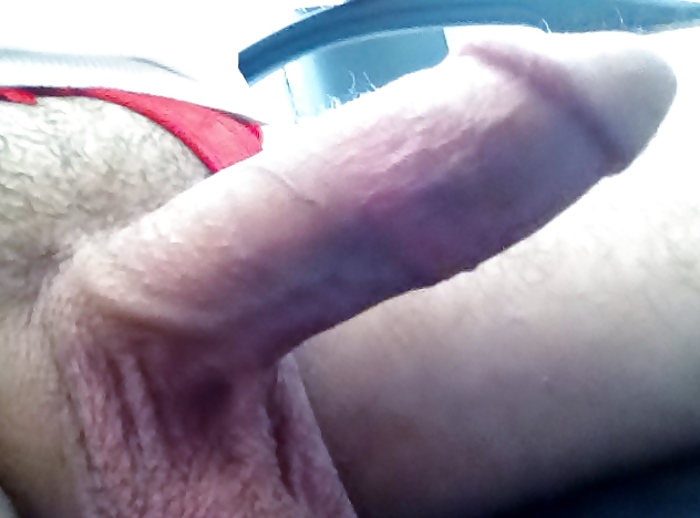 ディック
 #38474651