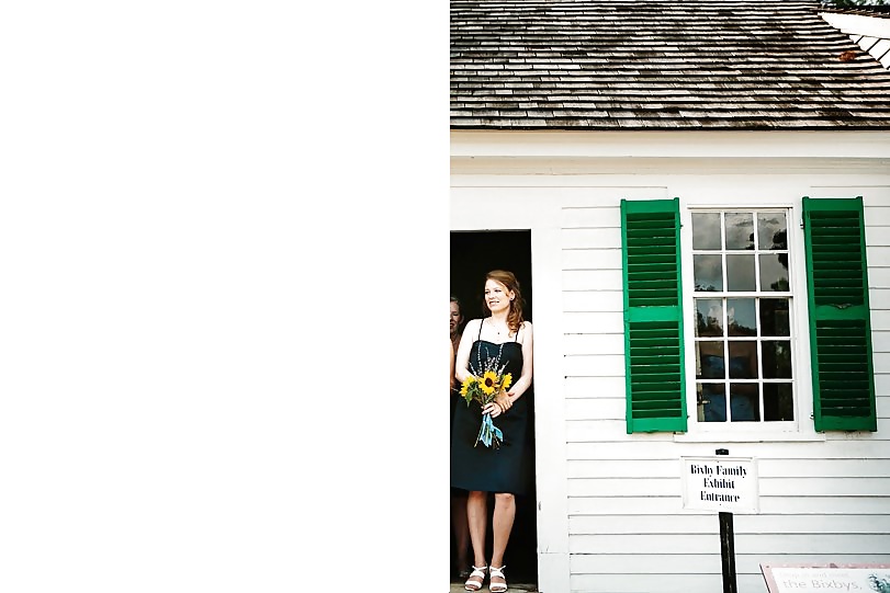 Jungfrau Iris - Virgin Iris #37585033