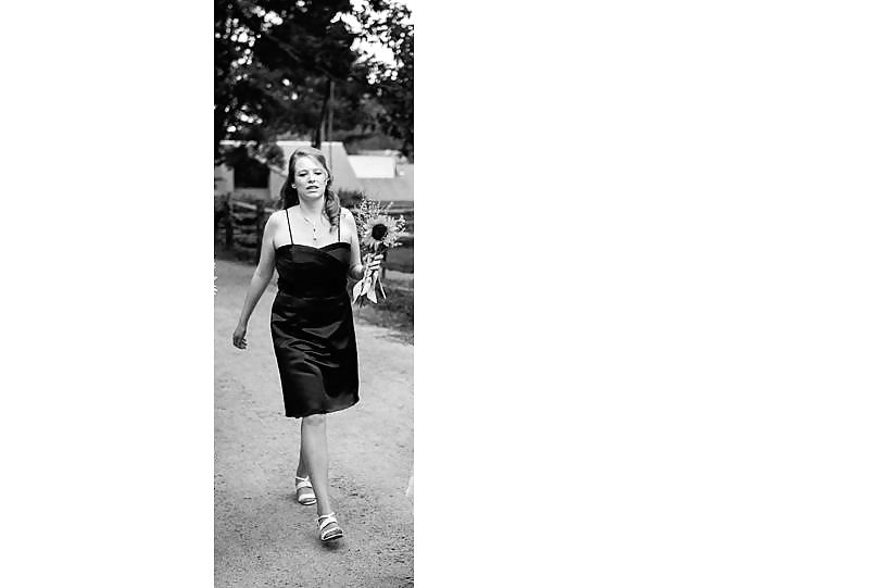 Jungfrau Iris - Virgin Iris #37585042