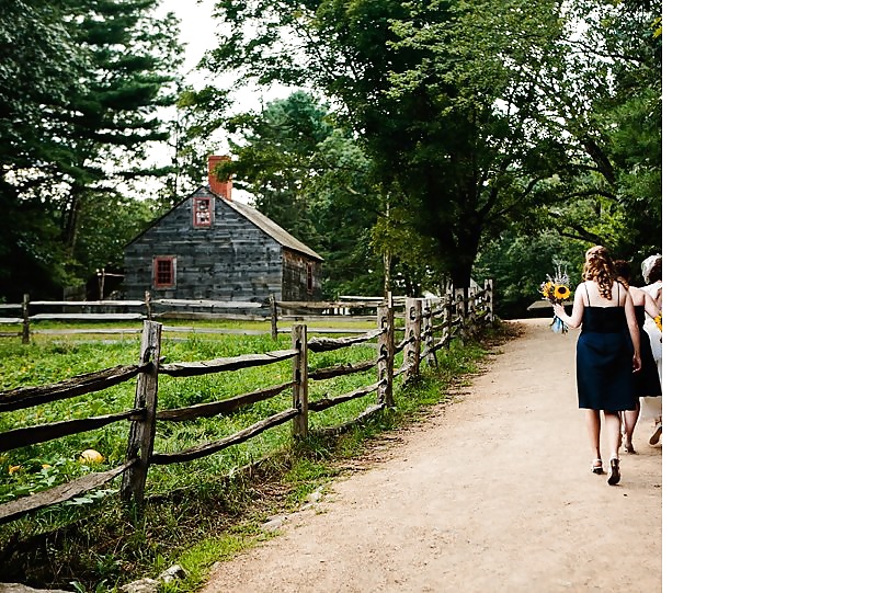 Jungfrau Iris - Virgin Iris #37585046