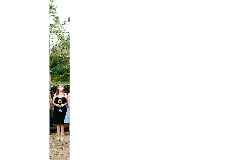 Jungfrau Iris - Virgin Iris #37585049