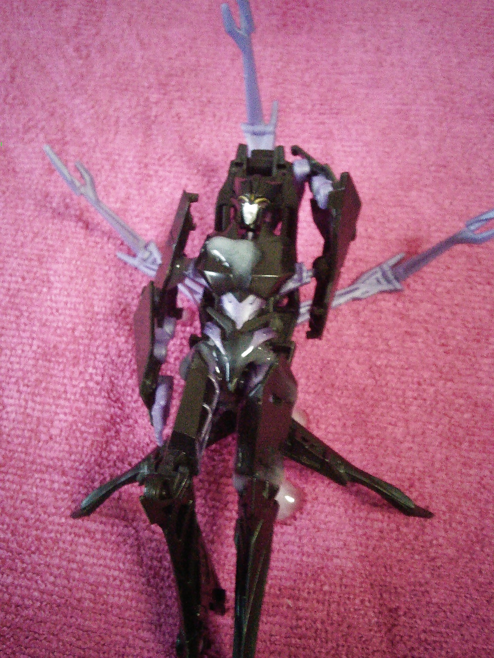 Corrida en: airachnid
 #31806819