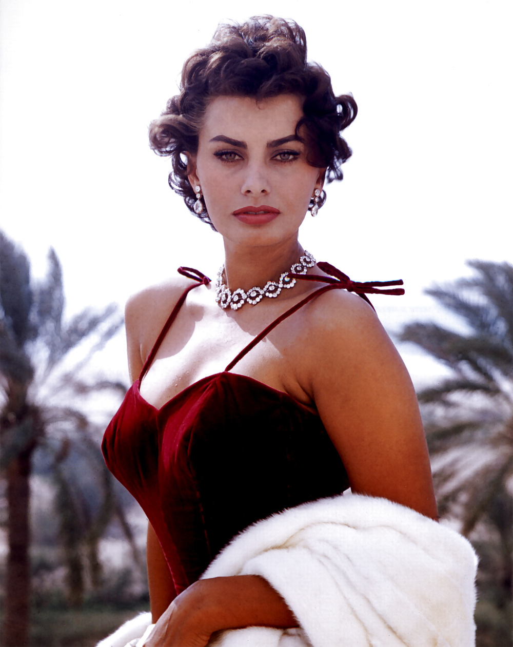 Sophia Loren #32498206