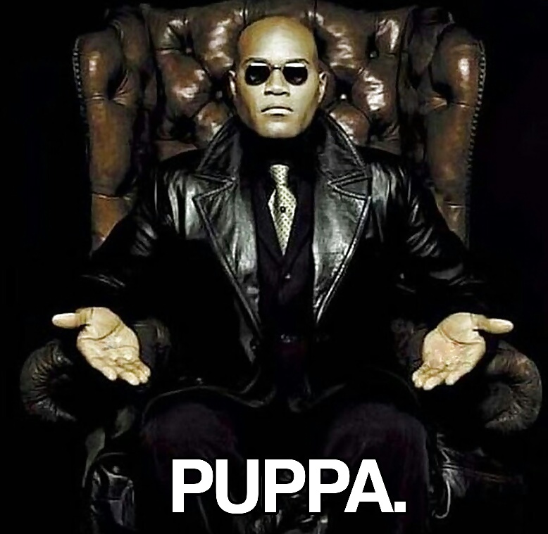 Divertido
 #33624167