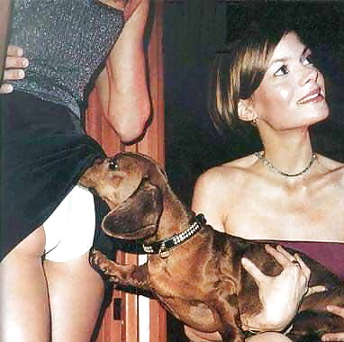 Divertido
 #33624408