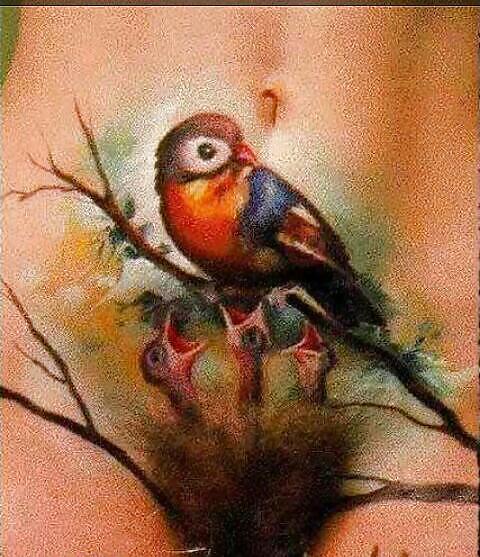 Divertido
 #33624422