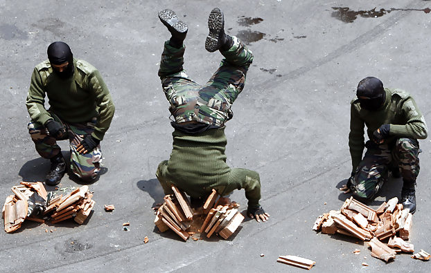 Divertido
 #33624463