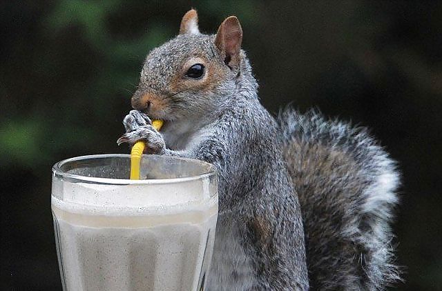 Divertido
 #33624467