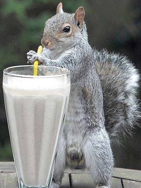 Divertido
 #33624521