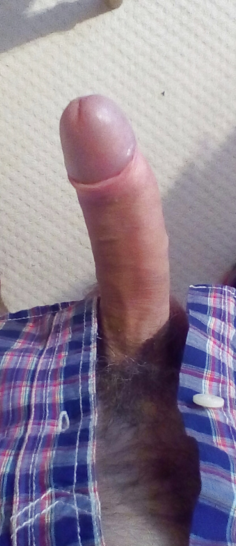 Hahn Bilder Von Mir #26551421