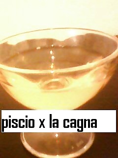 Serva cagna usata #29547109