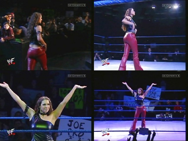 Stephanie Mcmahon #24176053