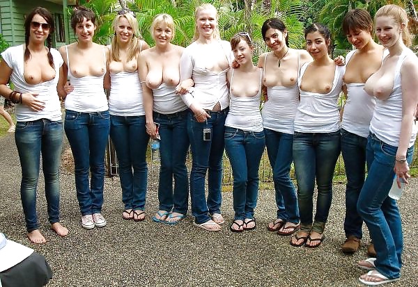 Tit Blinkend 3 #32586253